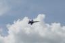 Blue Angels F/A-18 Hornet