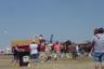The Clydesdales and Dalmation