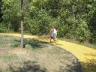walking on the yellow brick road