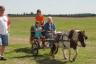 Callie had a turn on the buggy (julia was too scared)
